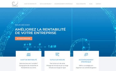 Pour Décider Stratégie Et Performance Des Entreprises